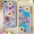 thumbnail image 4 of segolike 25PCS Natural Real Pressed Dried Flowers for Handmade Bookmarks, , Album Decor, D, 4 of 5