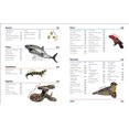 thumbnail image 3 of Animal Book, David Burnie Hardcover, 3 of 4