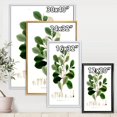 thumbnail image 4 of Designart Vintage Botanicals IV FLOAT FRAME WALL ART, 4 of 4