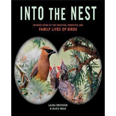 Into the Nest: Intimate Views of the Courting, Parenting, and Family Lives of Familiar Birds