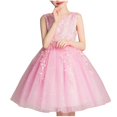 thumbnail image 1 of Ashirexll Robe de Fête Sans Manches pour Filles Jupe Tutu en Tulle Col Rond Ligne A Robe Formelle pour Animatrice Spectacle Occasion Spéciale Âge 2-14 Ans Rose 3 Ans, 1 of 3
