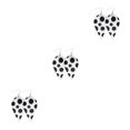 thumbnail image 2 of QualitChoice Leopard Print Earrings Body Decoration Water Drop Ear Dangles Birthday Gift Type 7 3Set, 2 of 6