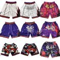 thumbnail image 2 of Raptors Retro Full Embroidered Zipper Pocket Pants, Basketball Dense Embroidered Shorts, Basketball Training Pants-HAPDEN, 2 of 3