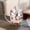 A, variant on YHDSYY Big Sale! Insulated Double-layer Glass Cup With Handle High Borosilicate Transparent Glass Cup Hot And Cold Water Cup Coffee Cup Clearance Sales Today Deals Prime