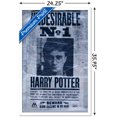thumbnail image 2 of Le Monde des Sorciers : Harry Potter - Indésirable, 2 of 4