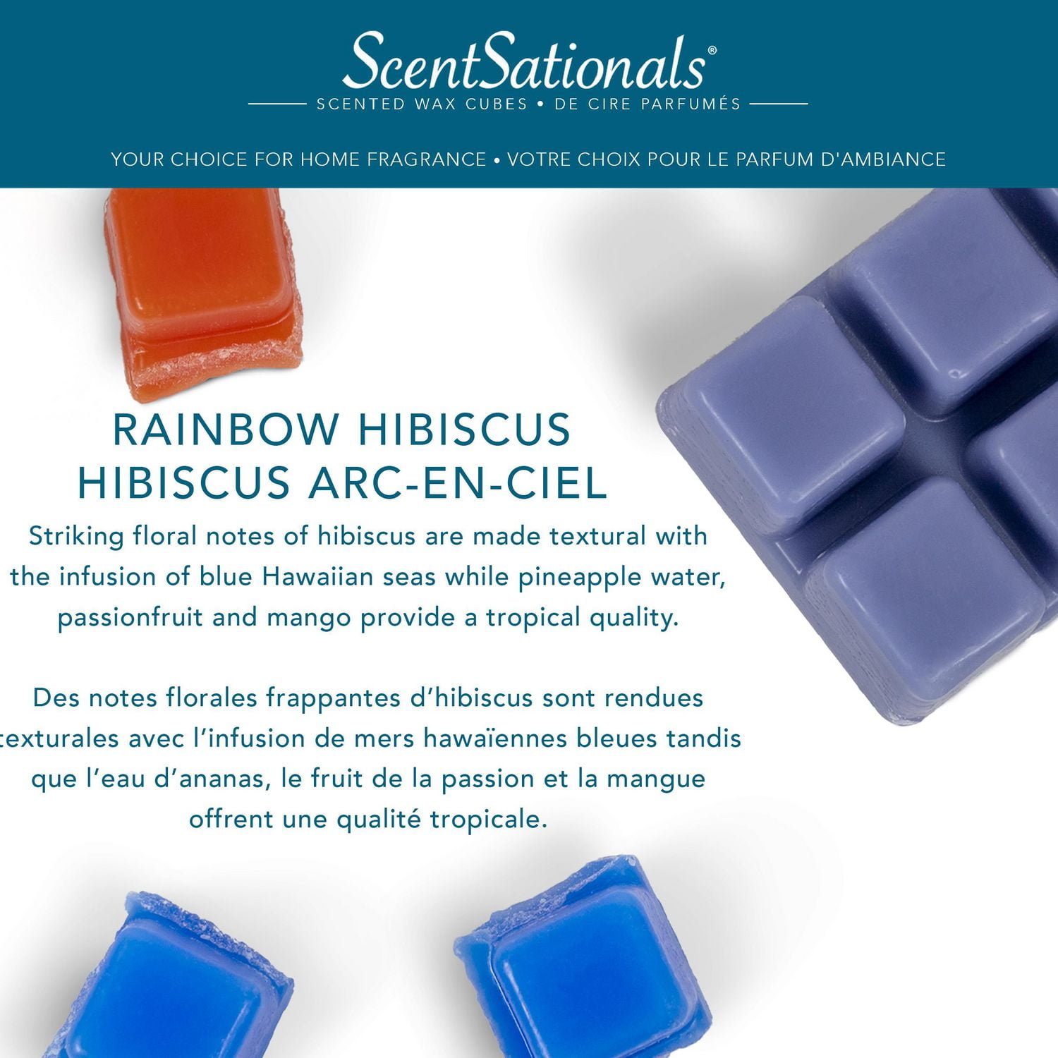 Cubes de cire parfumée ScentSationals - Hibiscus arc-en-ciel