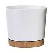 MesaSe Clearance Flower Pots House Plant Pots Decorative Flower Pots Indoor Planter Pots Flower Watering Pots Garden Pots Bonsai Plant Pots for Indoor Outdoor Plants Ideal Gifts for Mothe