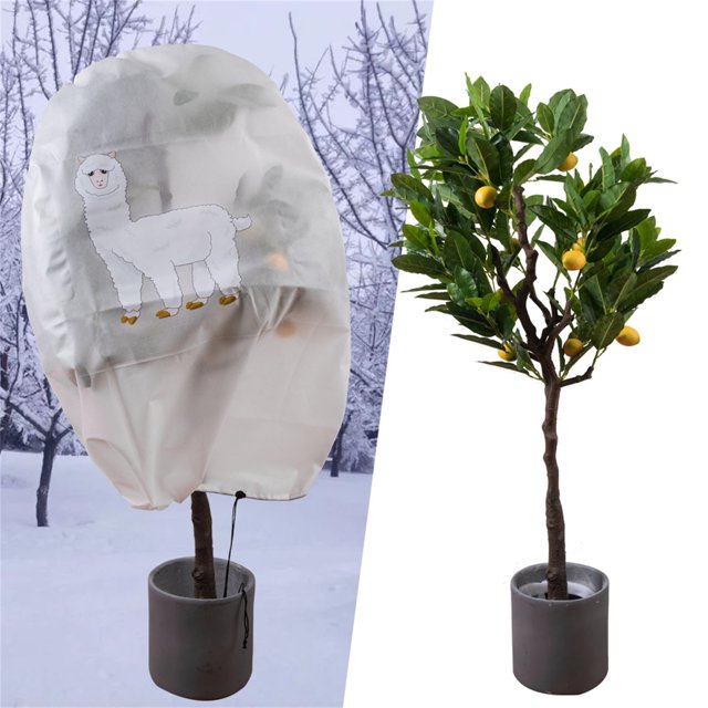 RXIRUCGD Warm Cover Tree Shrub Plant Protecting Bag Frost Protection Yard Garden Winter