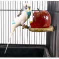 thumbnail image 3 of Penn Plax Apple Seed or Water Cup For Birds, 3 of 3