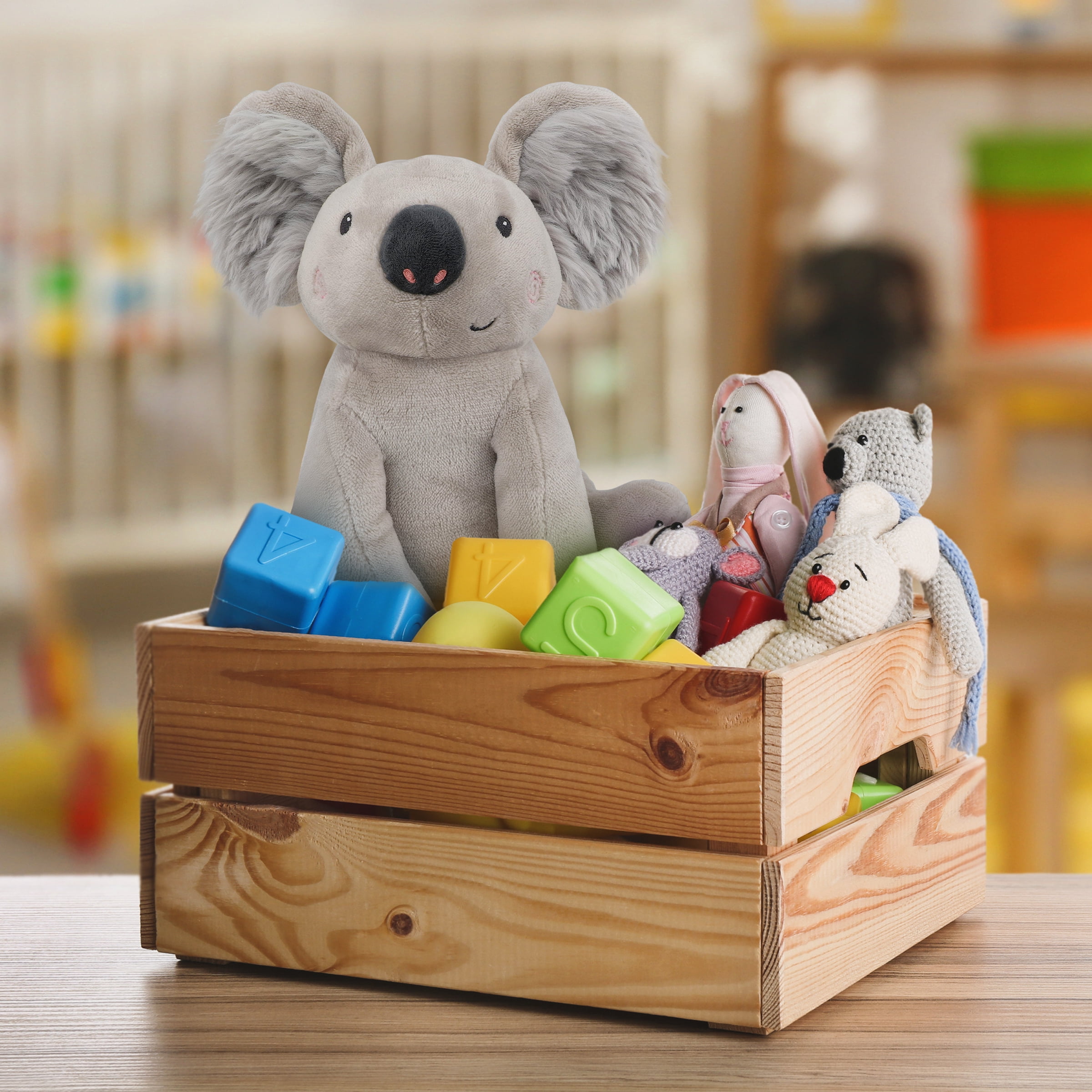 Koala coucou Spark Create Imagine