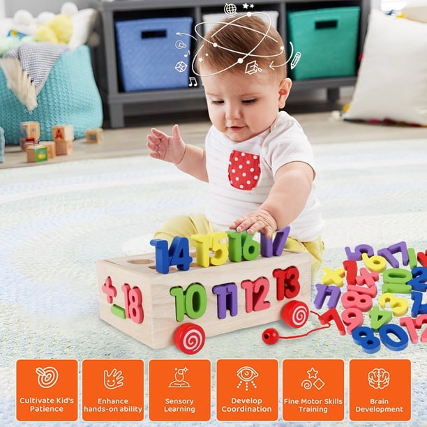 Temeemeg Jeu de Correspondance de Couleurs, Jouets tri Couleurs en Bois pour Les Tout-Petits, Jouets pour bébés Montessori pour l'apprentissage et Le développement la motricité Fine