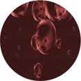 thumbnail image 1 of Ahgly Company Tapis d'Intérieur Lavables en Machine, Ronds, Marron Chocolat Transitionnel, Ronds de 4', 1 of 7
