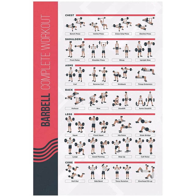 FitMate Barbell Workout Exercise Poster - Workout Routine with Free Weights, Home Gym Decor, Room Guide (16.5 x 25 Inch)