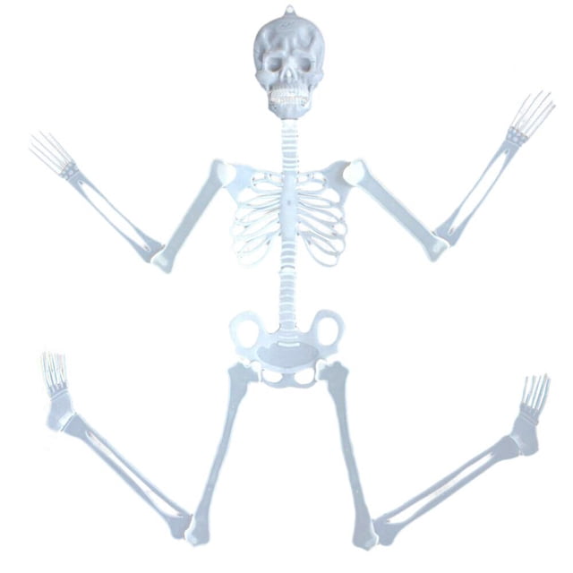 PVCS Luminous Skull Skeleton Body Scary Halloween Toy Haunted House Tricky Prop Gift for Kids