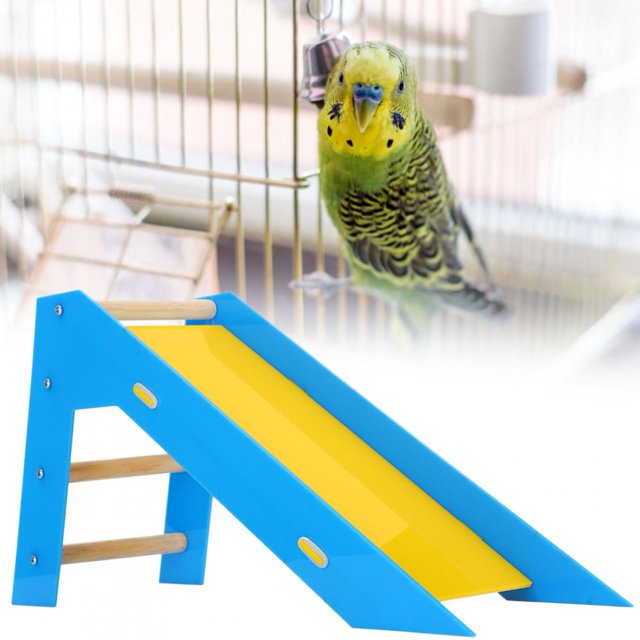 Jouets d'Escalade, Glissoire Échelle, Naturel pour Oiseaux