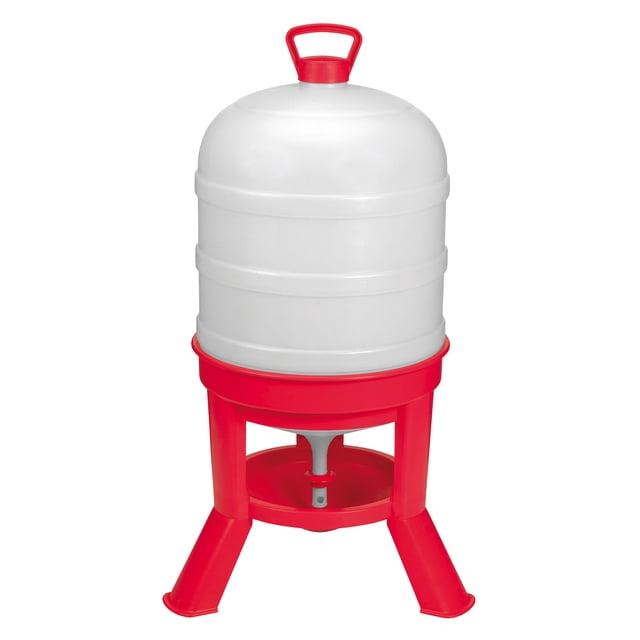 Little Giant DOMEWTR10 Arroseur Gravité de Volaille 10 Gallons