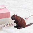 thumbnail image 2 of MasteelfCA Simulation Beaver Figure Realistic Fun Toys Plastic Beaver Animal Model Party Favors for Kids (Brown), 2 of 7