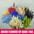 thumbnail image 3 of CAROOTU 50 Pcs Dried Flower Grass Decoration Photography Props for Home Store Wedding, 3 of 5