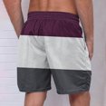 thumbnail image 4 of Plebaso Men's Beach Shorts Color Block Drawstring Casual Shorts Trendy Summer Vacation Shorts for Men, 4 of 4