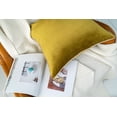 thumbnail image 3 of Gouchee Home Solid Velvet Cushion, 3 of 4