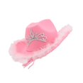 thumbnail image 4 of Cowboy Hat Cowgirl Hat for Fancy Dress Props Party Fancy Dress, 4 of 8