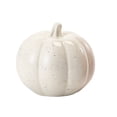 thumbnail image 4 of Way to Celebrate Harvest Collection Ceramic Salt and Pepper Shakers, 2 Pieces, 4 of 5