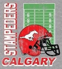 T-shirt à manches courtes Graphic Athletic Heather pour femmes sous licence CFL Stampeders