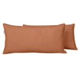 thumbnail image 1 of VargottamIndoor/OutdoorPolyester FabricLumbarPillowCover,All-Weather Waterproof Rectangular Cushion Case for Patio Furniture,12" x 18"Set of 2-Dusty Peach, 1 of 7
