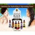 thumbnail image 3 of Sunny Isle Jamaican Black Castor Oil Lavender 8oz, 3 of 7