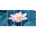 thumbnail image 2 of Fleur de Lotus Rose en Floraison, 2 of 3