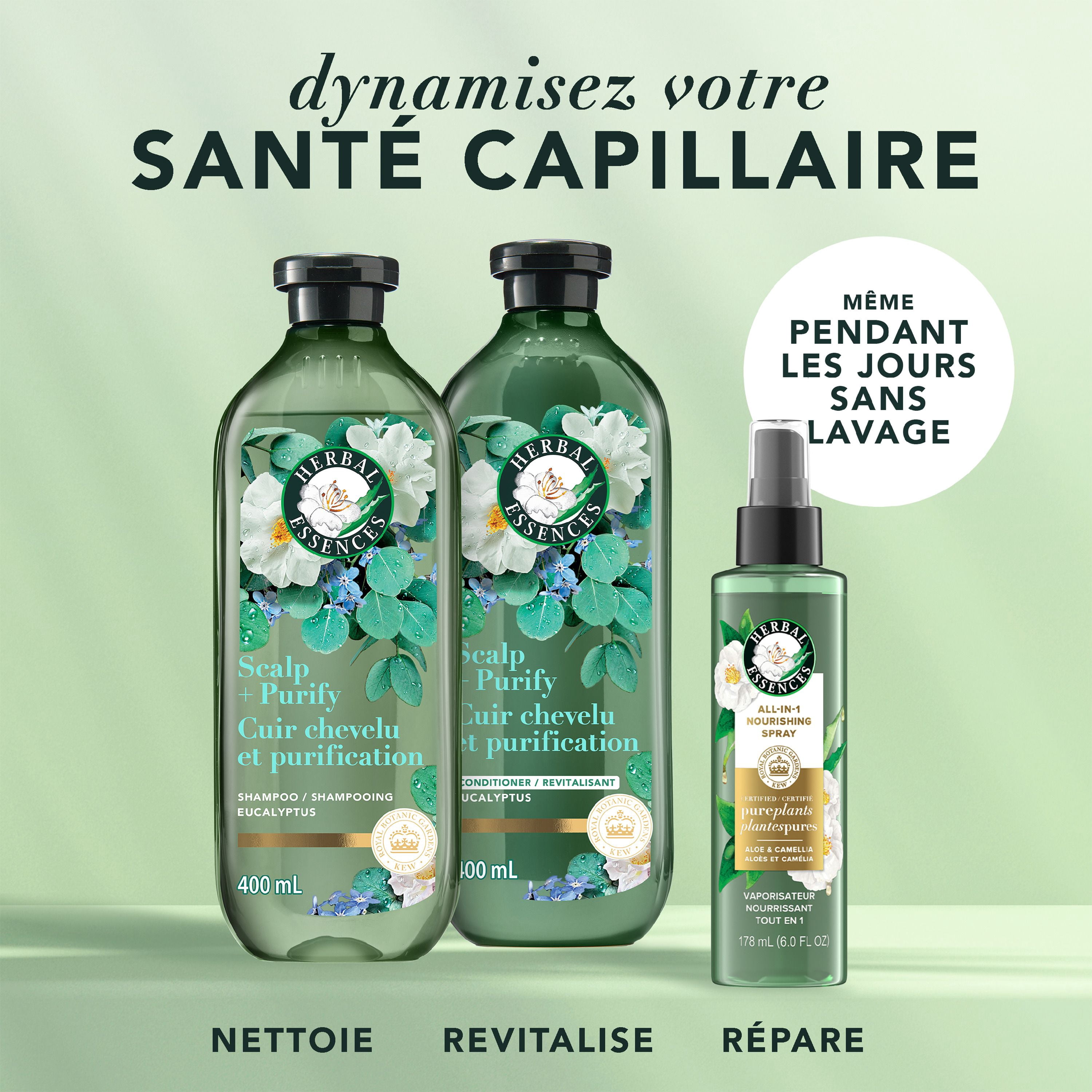Shampooing Herbal Essences Cuir Chevelu et Purification, Nettoie Le Cuir Chevelu Pour Des Cheveux Doux, Eucalyptus, Sans Sulfate, 400 mL