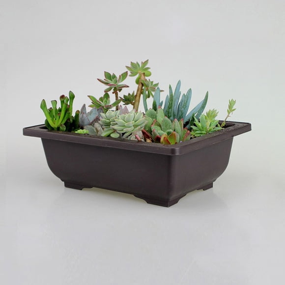 Pot de Fleurs Antique Imitation Sable Violet Brun Foncé, Convient aux Succulentes, Petit Pot, Petit Bonsaï, Présentoir de Couronne pour Maison et Jardin