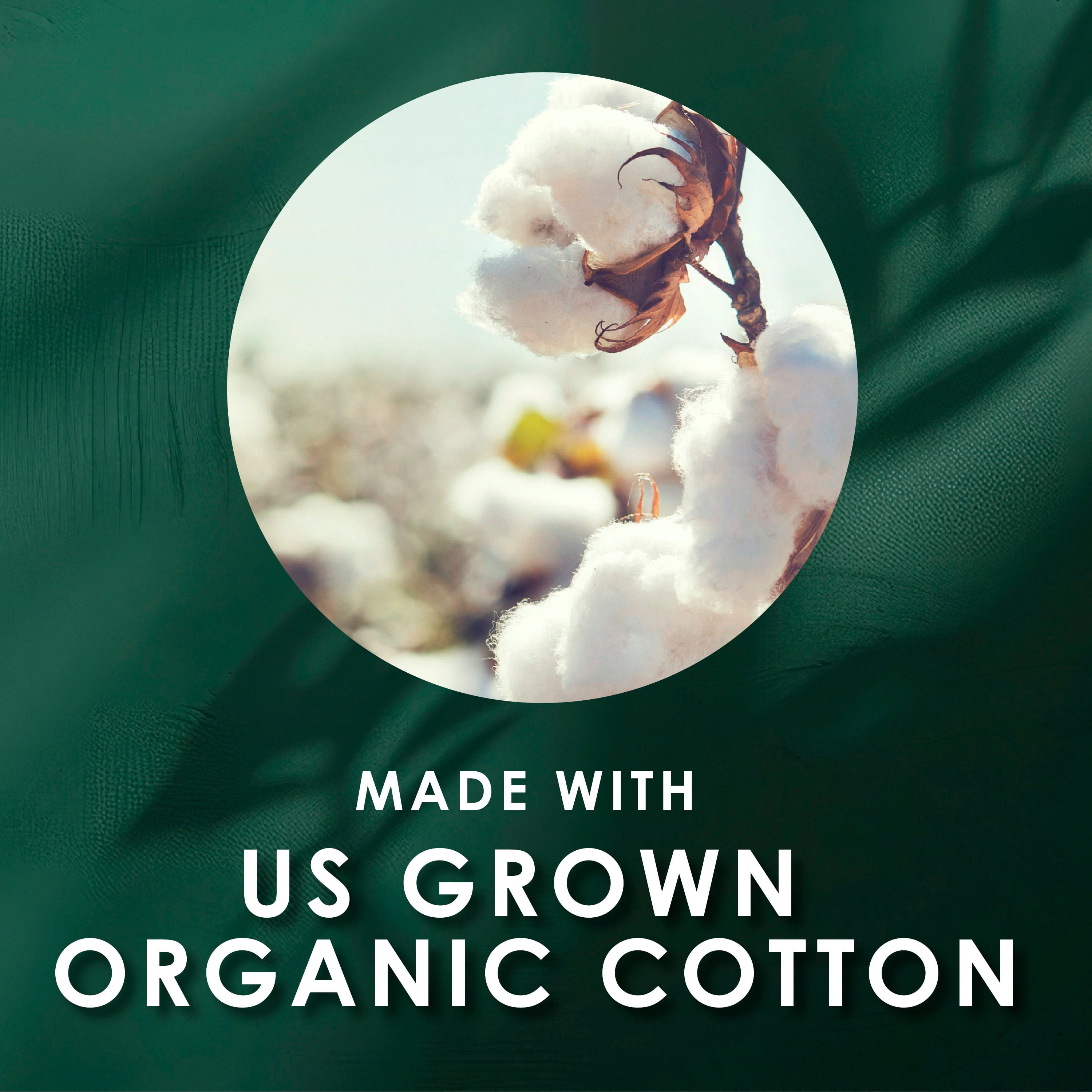 L. Serviettes Ultra-Minces pour Femmes, Voile Supérieur en Coton Biologique, Absorption de Nuit, Serviettes Menstruelles avec Ailes 36 Unités