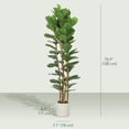 thumbnail image 3 of HOMCOM Ensemble de 2 Fausses Feuilles de Figuier, Arbre Factice de 6 Pi pour Déco Intérieure, 3 of 10