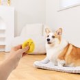thumbnail image 3 of Miangastore Puppy Chewing Toy Bite-resistant Dog Plaything Interactive Puppy Squeaky Plaything, 3 of 8
