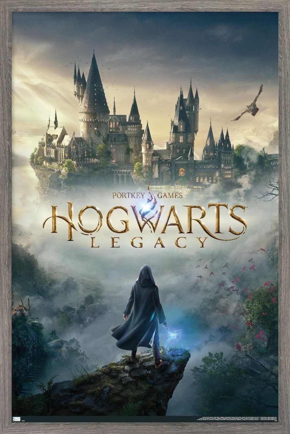 Harry Potter: Hogwarts Legacy - Key Art Wall Poster, 22.375" x 34"