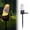 C, variant on WIFKLSIIPG Cute Animal Solar Ground Insert Light Outdoor Resin Solar Light for Garden Yard Patio Decoration