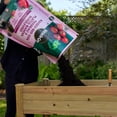 thumbnail image 2 of Miracle-Gro Raised Bed Soil 50L, 2 of 5