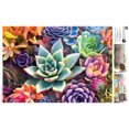 thumbnail image 4 of Buffalo Games - Large Pieces - Simple Succulents - 300 Piece Jigsaw Puzzle, 4 of 5