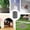 garden fence copper mesh Under $5 a4, variant on CQCYD Copper Mesh, Plant Protection Mesh, 12.7x100cm 12.7x300cm 12.7x600cm Copper Mesh Roll, Garden Fence Plant Protection, Stop Boring Holes for Garden Plants Vegetables Fruits