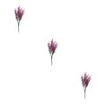 thumbnail image 3 of mmirethe 2x Artificial Plant And Wide Range Of Uses For Any Space Realistic red lotus 3Set, 3 of 6