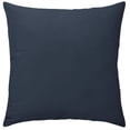 thumbnail image 1 of Mainstays Ravi Decorative Cushion, Velvet, 20x20 in, Blue 2-Pack, 1 of 5