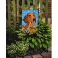 thumbnail image 2 of Carolines Treasures SS4120GF 11 x 15 Po. Drapeau Dachshund - Taille Jardin, 2 of 3