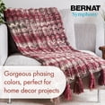 thumbnail image 3 of Bernat® Symphony™ #5 Bulky Blend Fil, 7.9oz/225g 309 Yards, 3 of 7