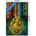 thumbnail image 2 of The Wizarding World: Harry Potter - Emblèmes de maison, 2 of 4