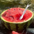 thumbnail image 4 of Watermelon Cutter Slicer, 2-in-1 Stainless Steel Fruit Cutter Watermelon Fork Slicer Cutter Slicer Tool Fruit Forks Slicer Knife, Watermelon Cutter Fork Quickly Fruit Forks Slicer for Kitchen, 4 of 7
