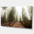 thumbnail image 2 of Foggy Sequoya National Park - Oversized Landscape Canvas Art, 2 of 3
