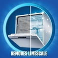 thumbnail image 3 of Finish Dual Action Dishwasher Cleaner, Original, 250 ml, Fight Grease & Limescale, 250 mL, 3 of 5