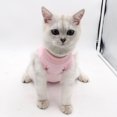 thumbnail image 4 of Pets Cat Kitten Recovery Weaning Suit Breathable Elastic Soft Clothes Vest Coat, 4 of 10