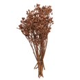 thumbnail image 1 of Vickerman H1EYP729 12 x 1-3 in. Eucalyptus Clusters, Orange - 16 Piece, 1 of 1